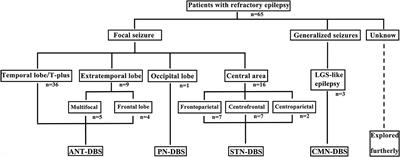 Deep brain stimulation for patients with refractory epilepsy: nuclei selection and surgical outcome